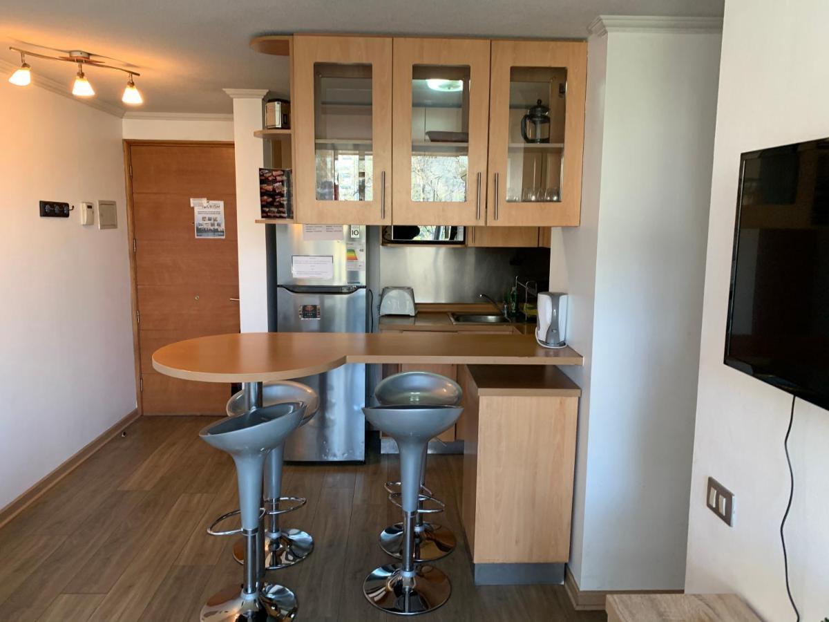 Departamento Amoblado Providencia Apartman Santiago Kültér fotó